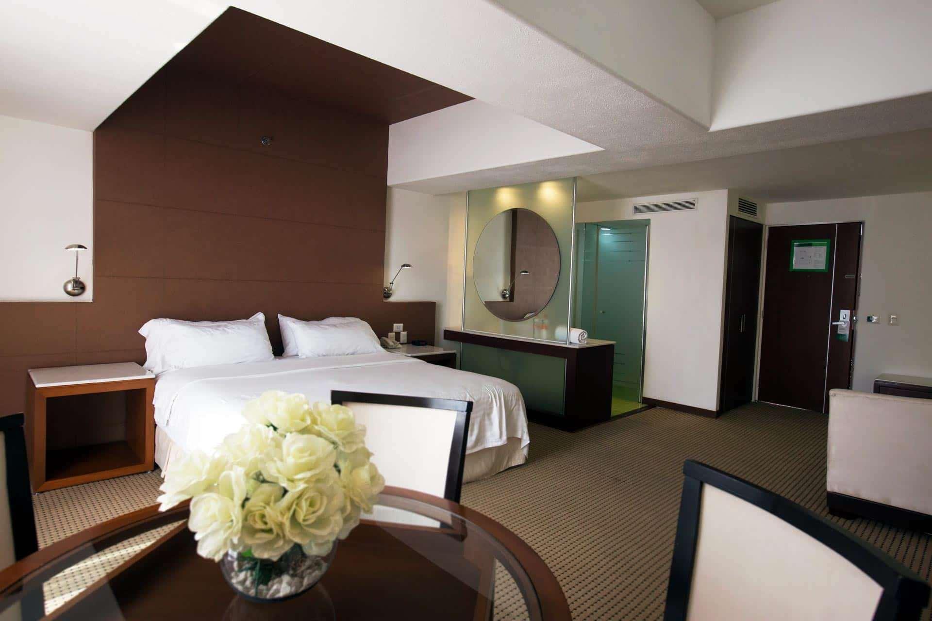 Hotel & Suites Bel Air Business Salamanca Esterno foto